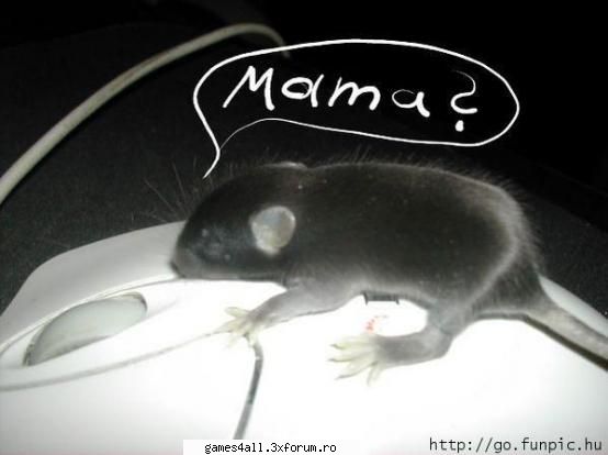 =d poze